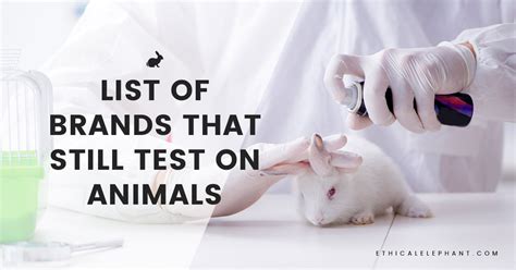 does hard candy test ingredients on animals|268+ Companies That Test On Animals (2024 .